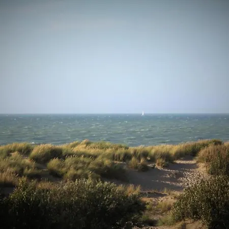 Spacious Seafront Retreat De Haan